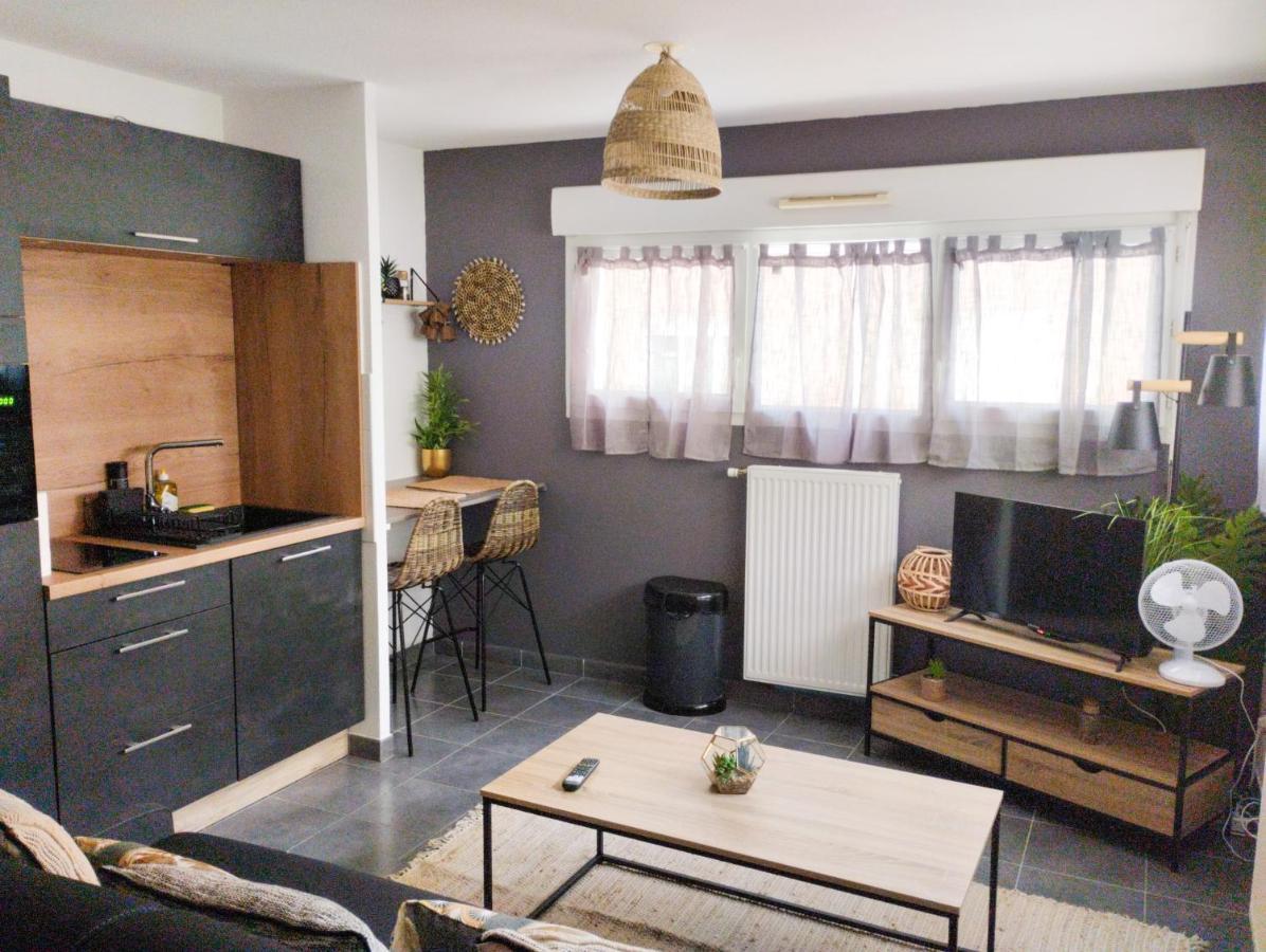 Appartement Studio Balzac à Villeurbanne Extérieur photo